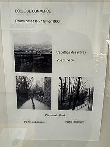 IMG_9242