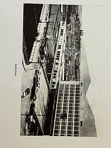 IMG_9241