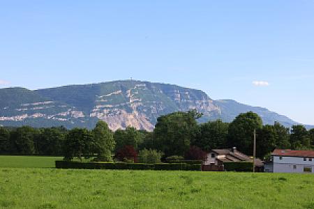 IMG_1080