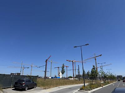IMG_1119