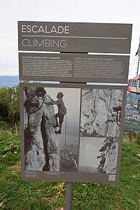 IMG_1520