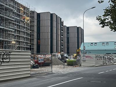 IMG_2901