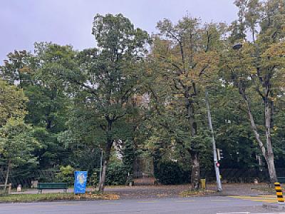 IMG_2976