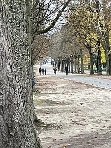 Image_20251101_144520