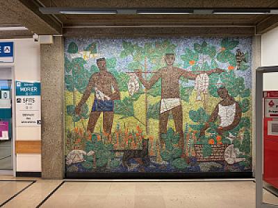 IMG_3408