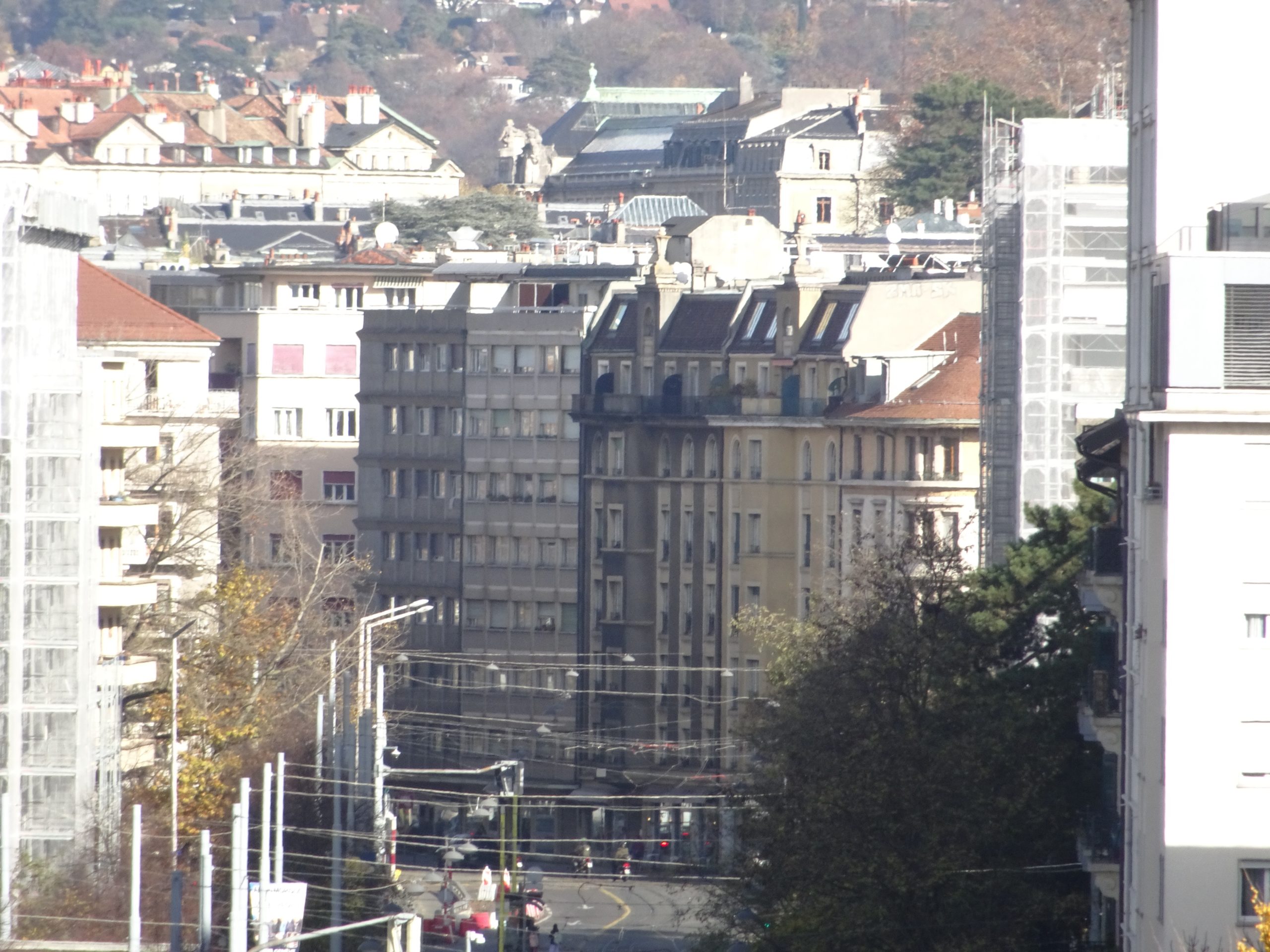 DSC01762