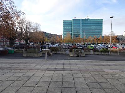DSC01826