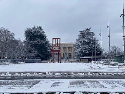 2021-01-17_08-50-45