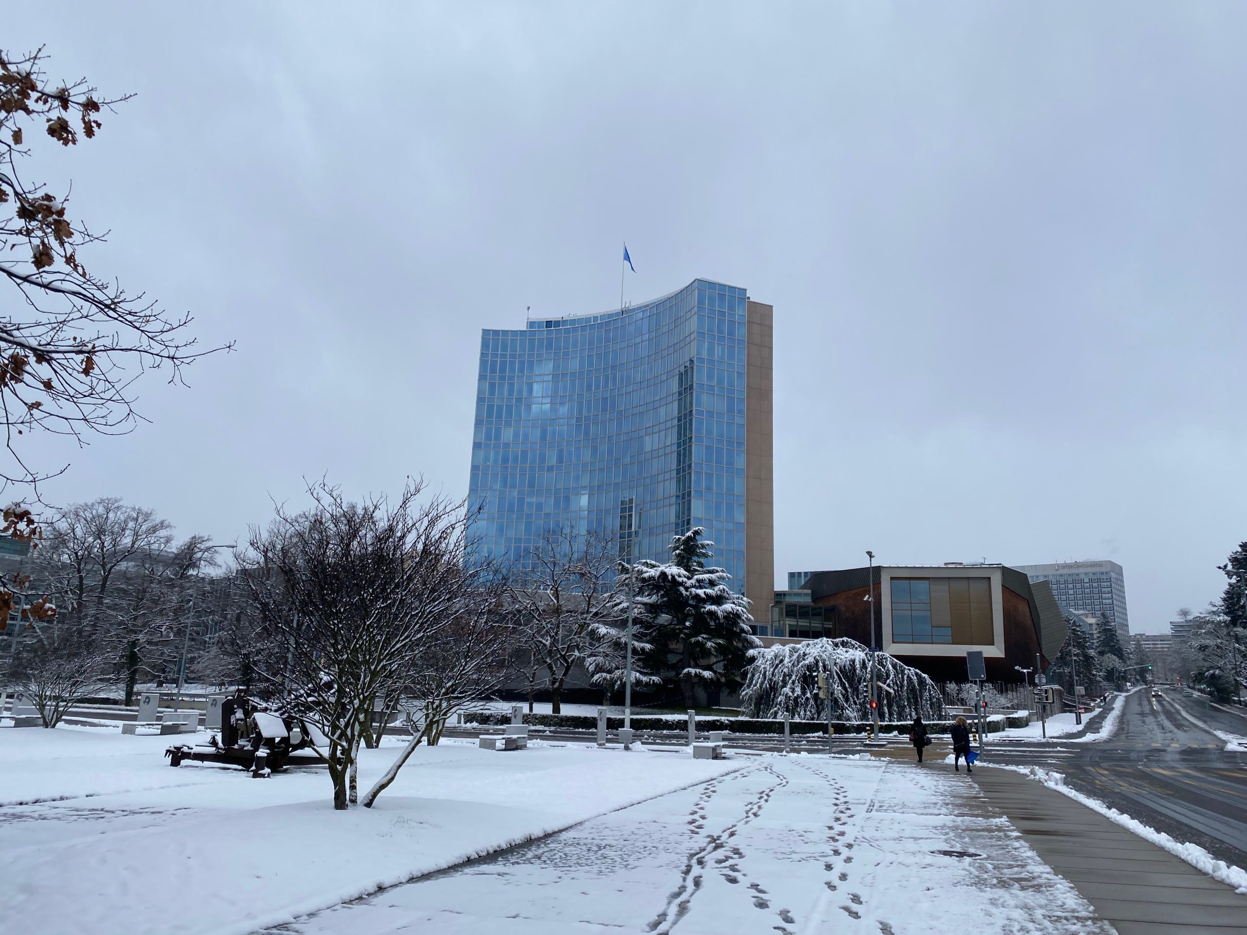 2021-01-17_08-50-35