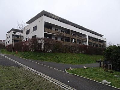2025-12-20_17-11-57