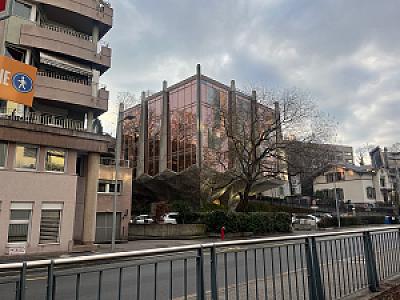 La Tulipe