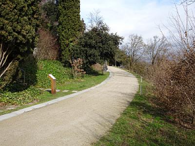 2026-02-10_14-44-10