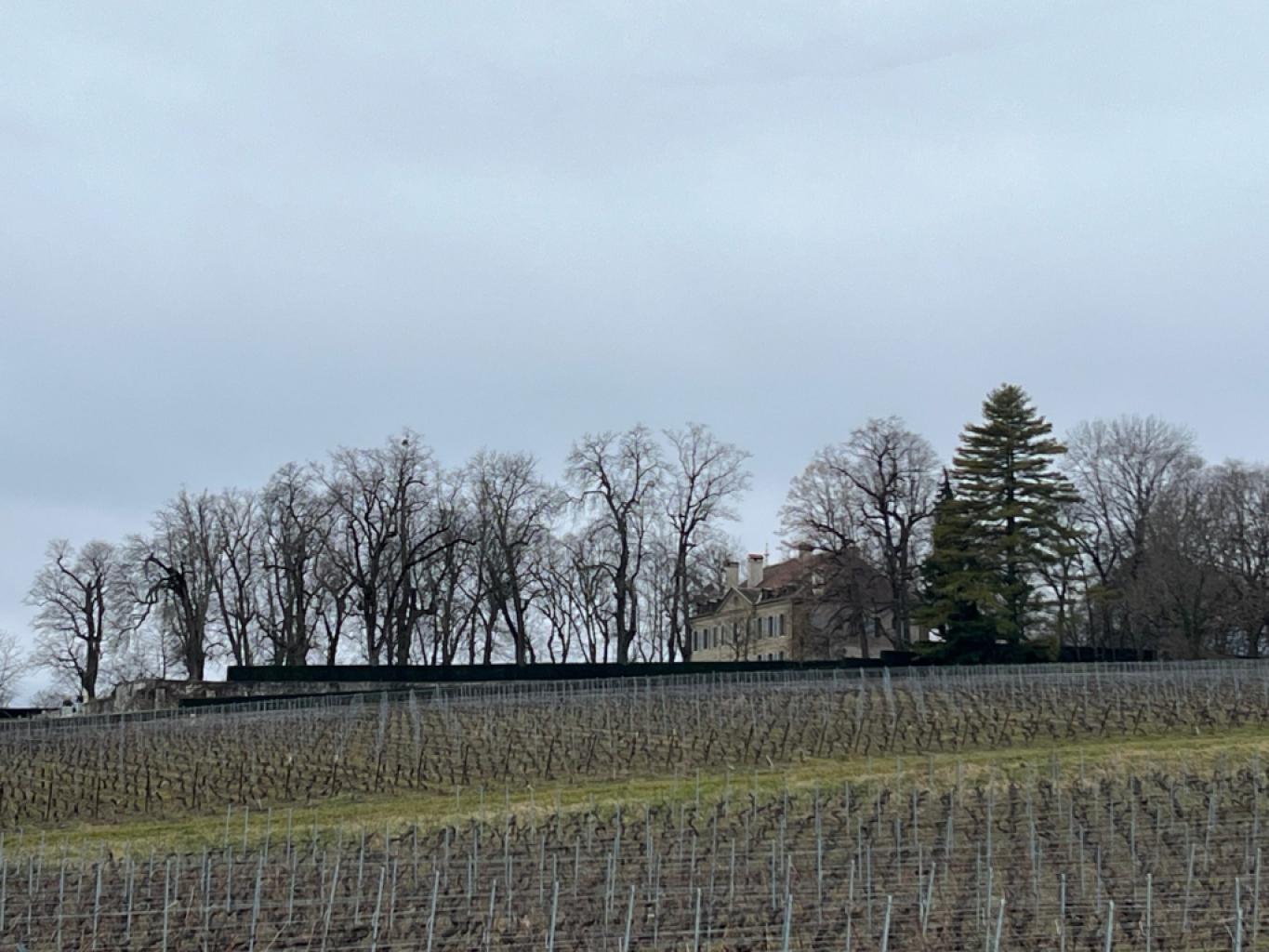 Château de Choully