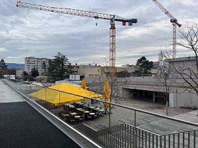 2026-02-18_17-17-03