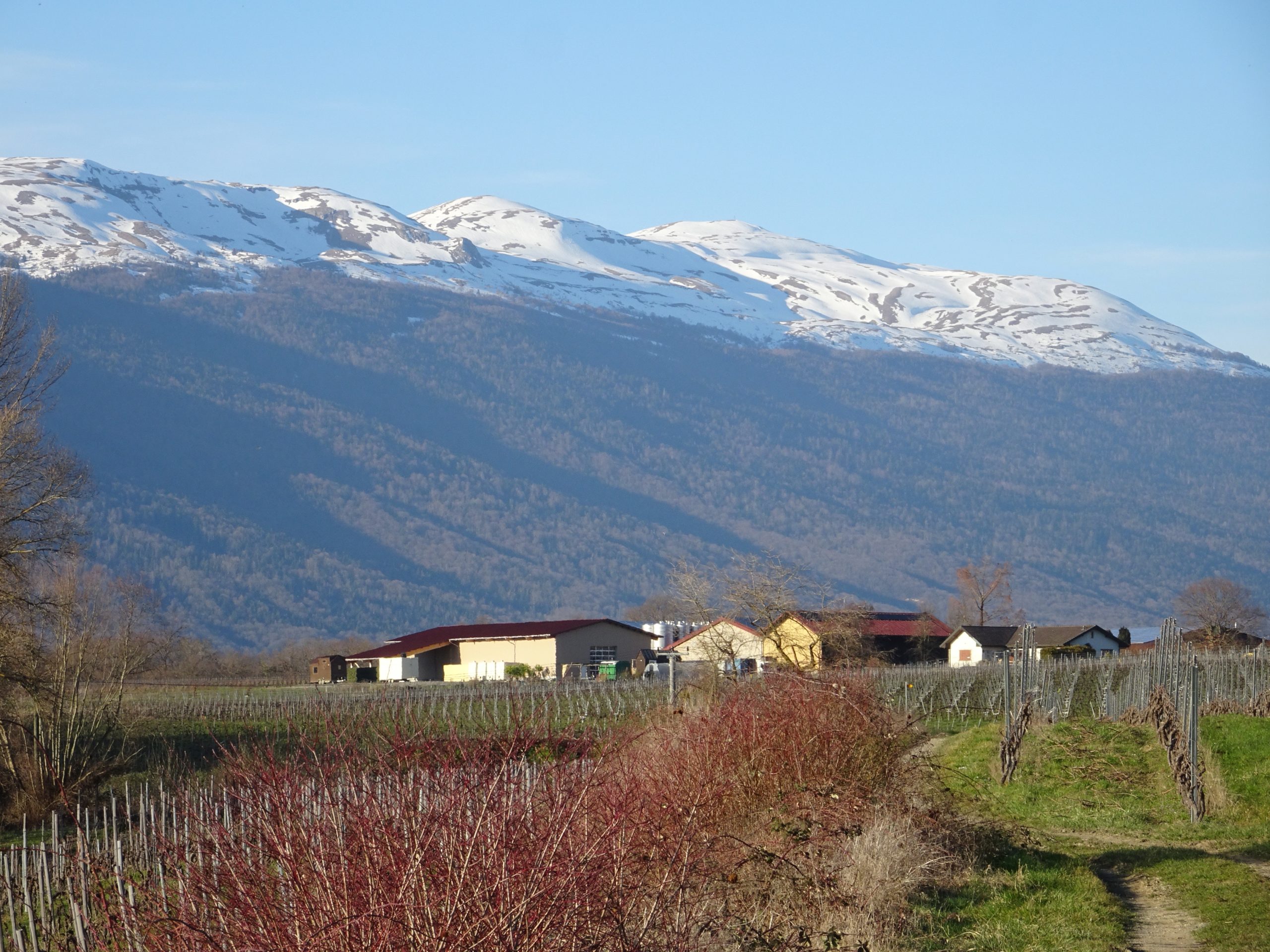 Route de l'Allondon 29