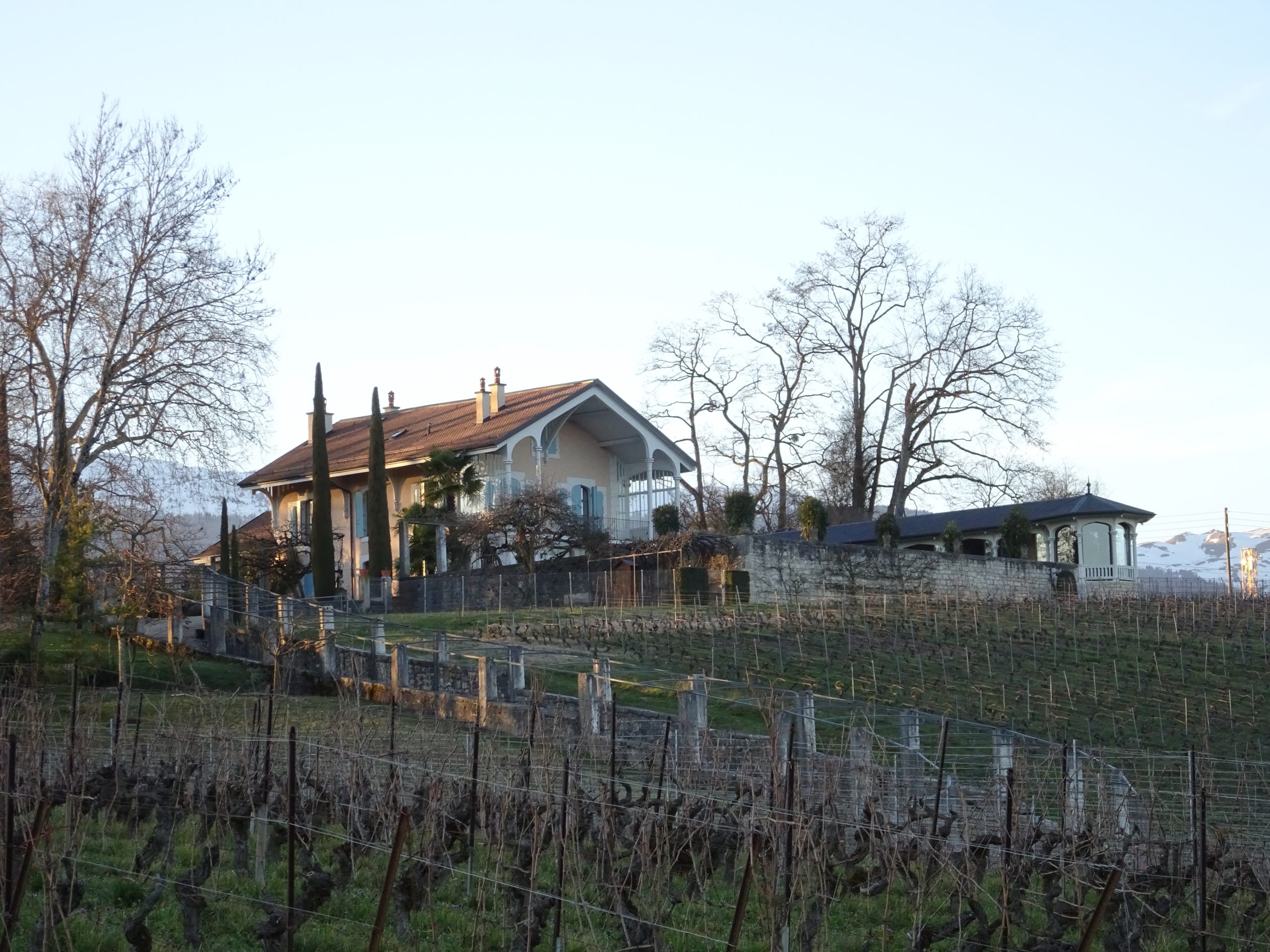 Chemin du Paradis (Satigny) 9