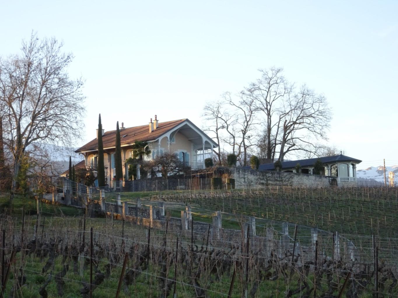 Chemin du Paradis (Satigny) 9