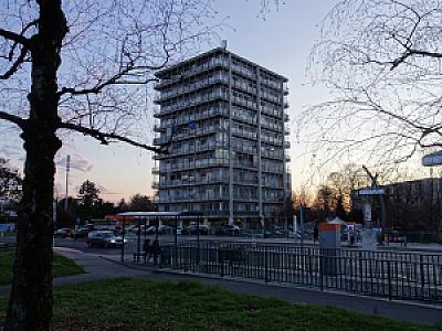 2026-03-01_19-18-24