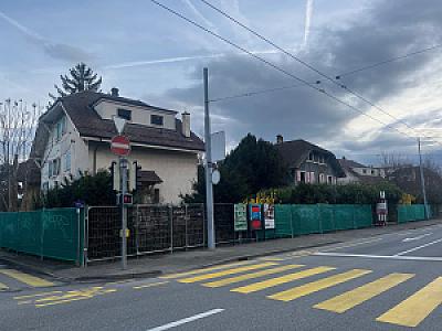 2026-03-11_07-46-34