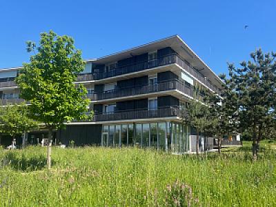 2026-05-01_11-00-40