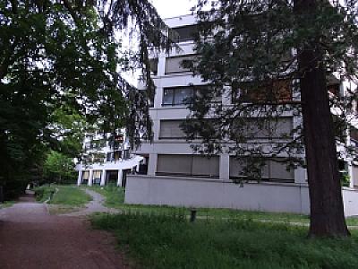 2026-05-09_20-50-53