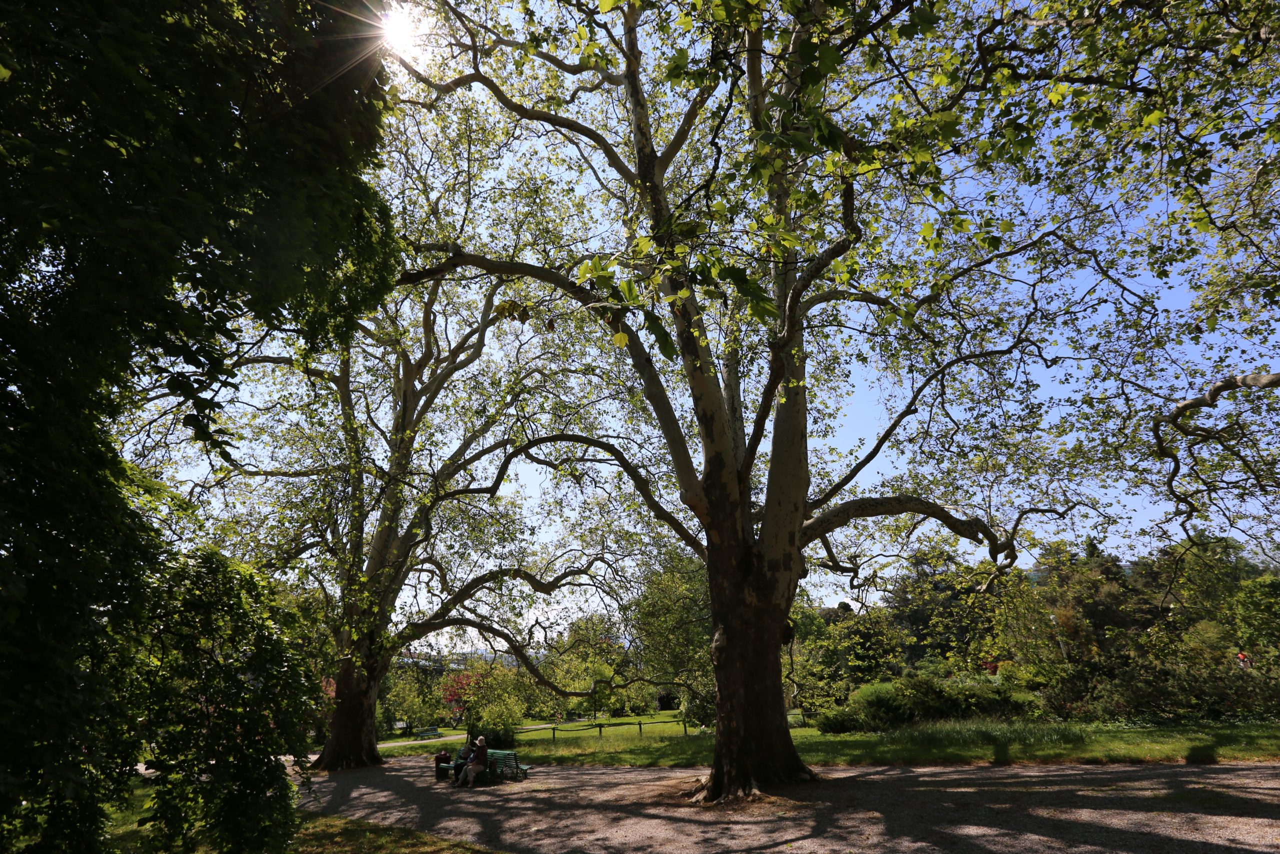 2019-05-26_10-29-06