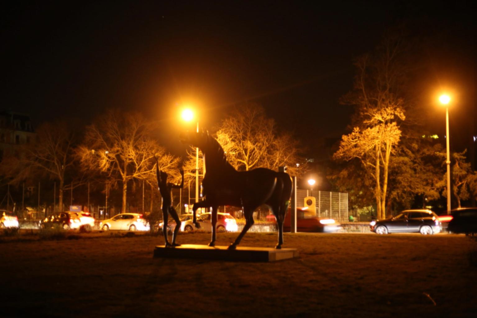 L'adolescent et le Cheval