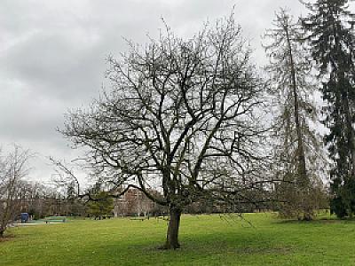 2020-02-02_16-53-22