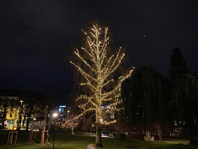 2021-12-27_20-11-52