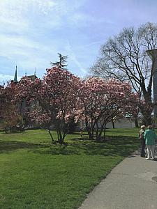 2015-04-12_11-47-57