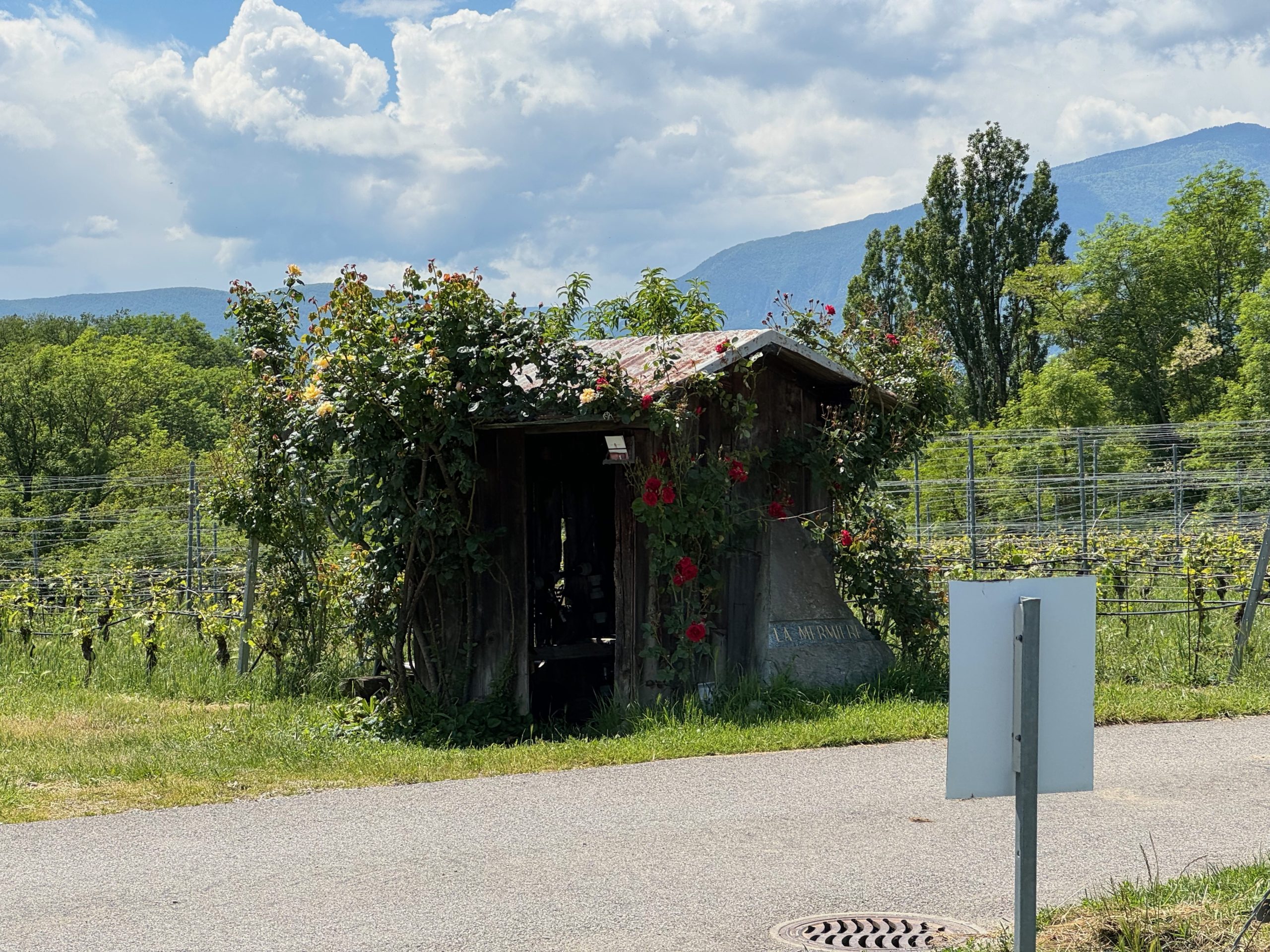 Renaturation de l'Aire