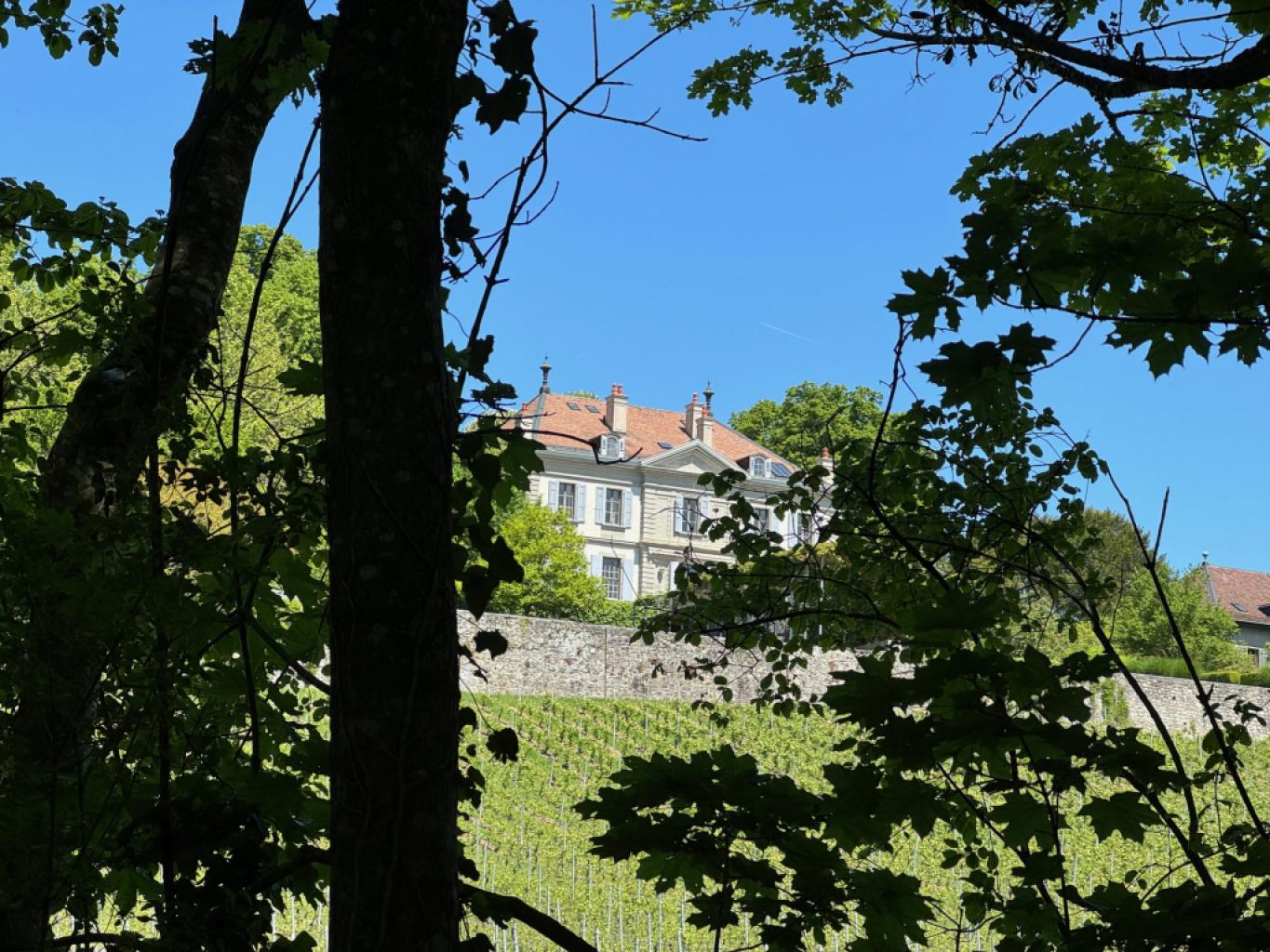 Campagne Masset