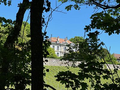 Campagne Masset