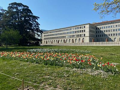 2020-04-10_11-03-02