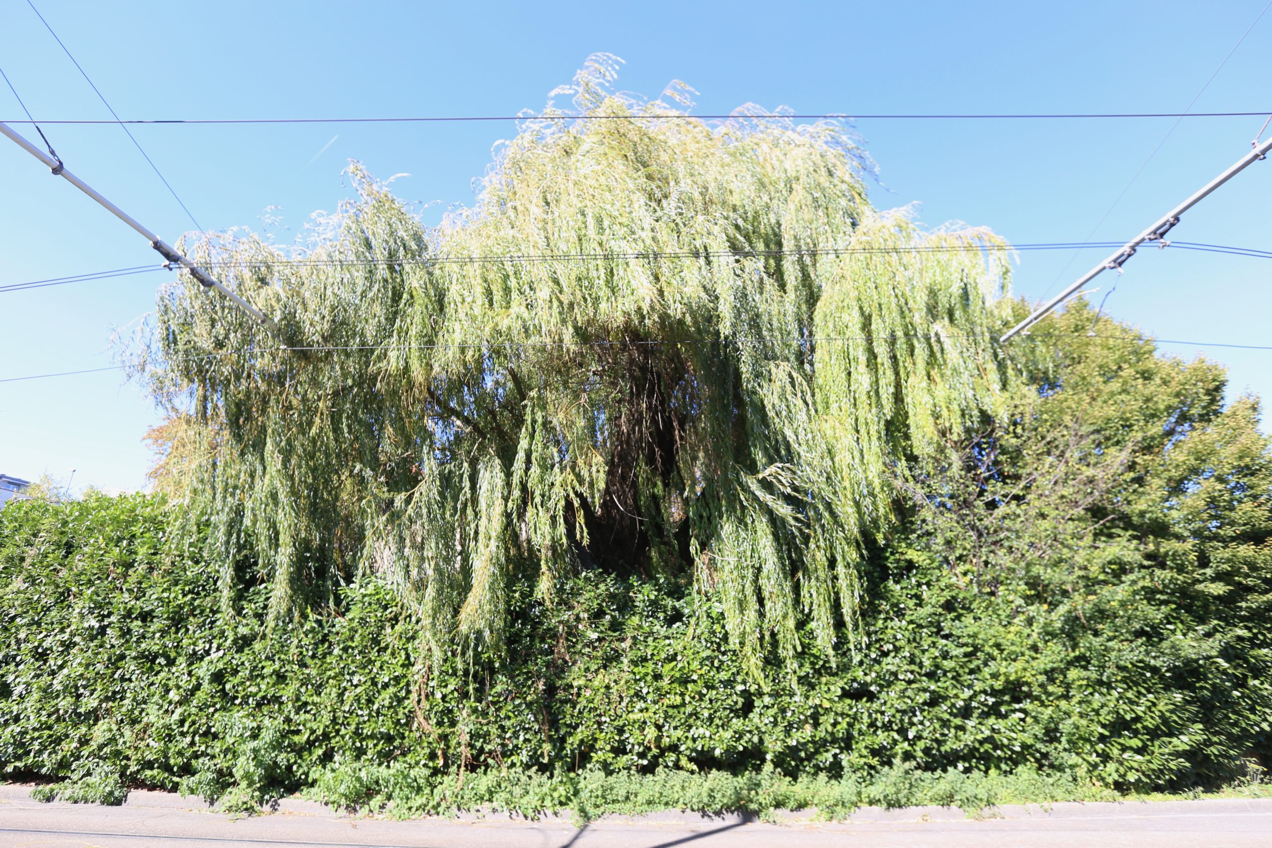 2019-09-29_13-37-25