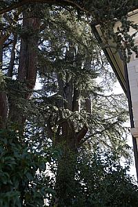 2019-09-29_11-29-55