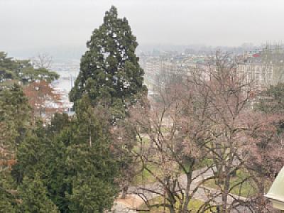 2020-01-25_11-10-20