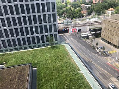 2019-06-22_12-47-13