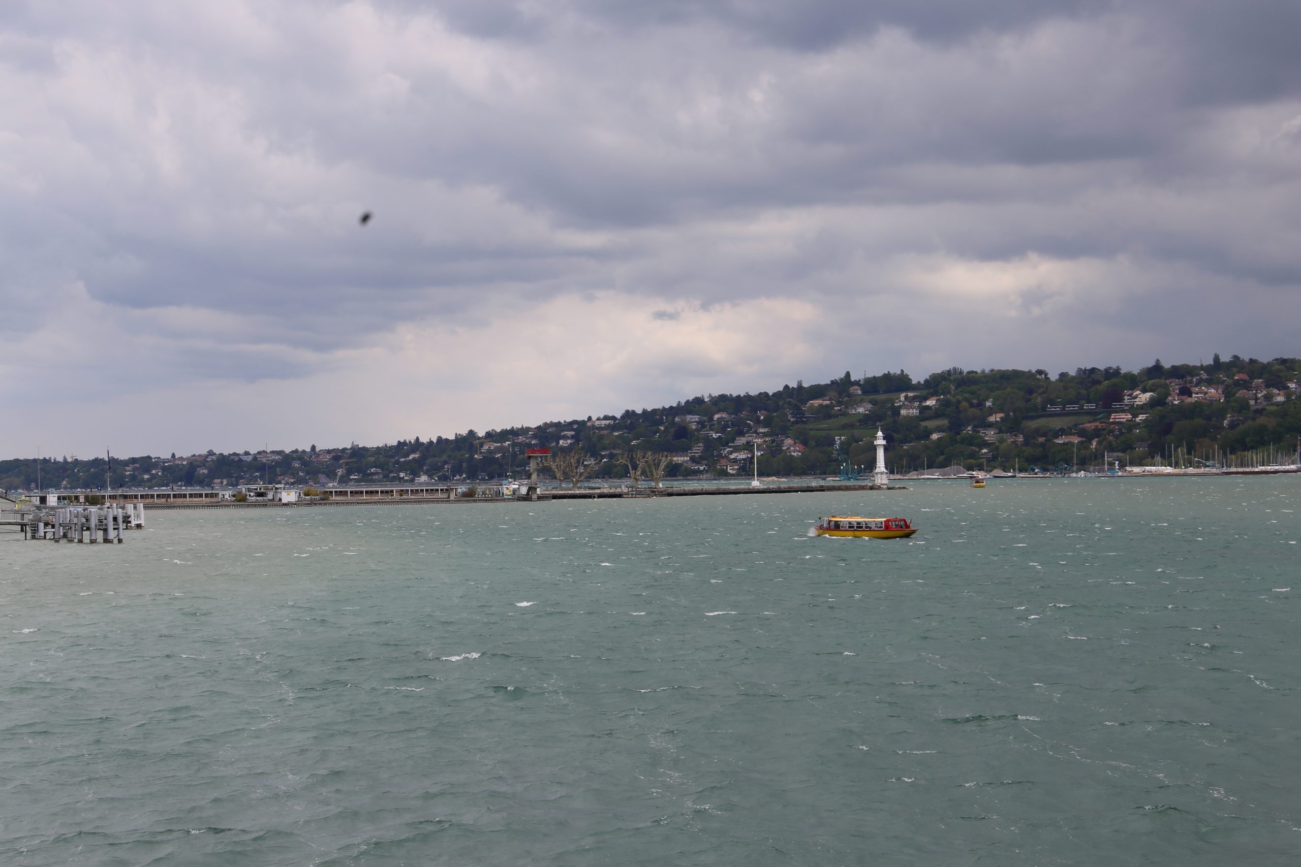 2019-05-05_12-11-15