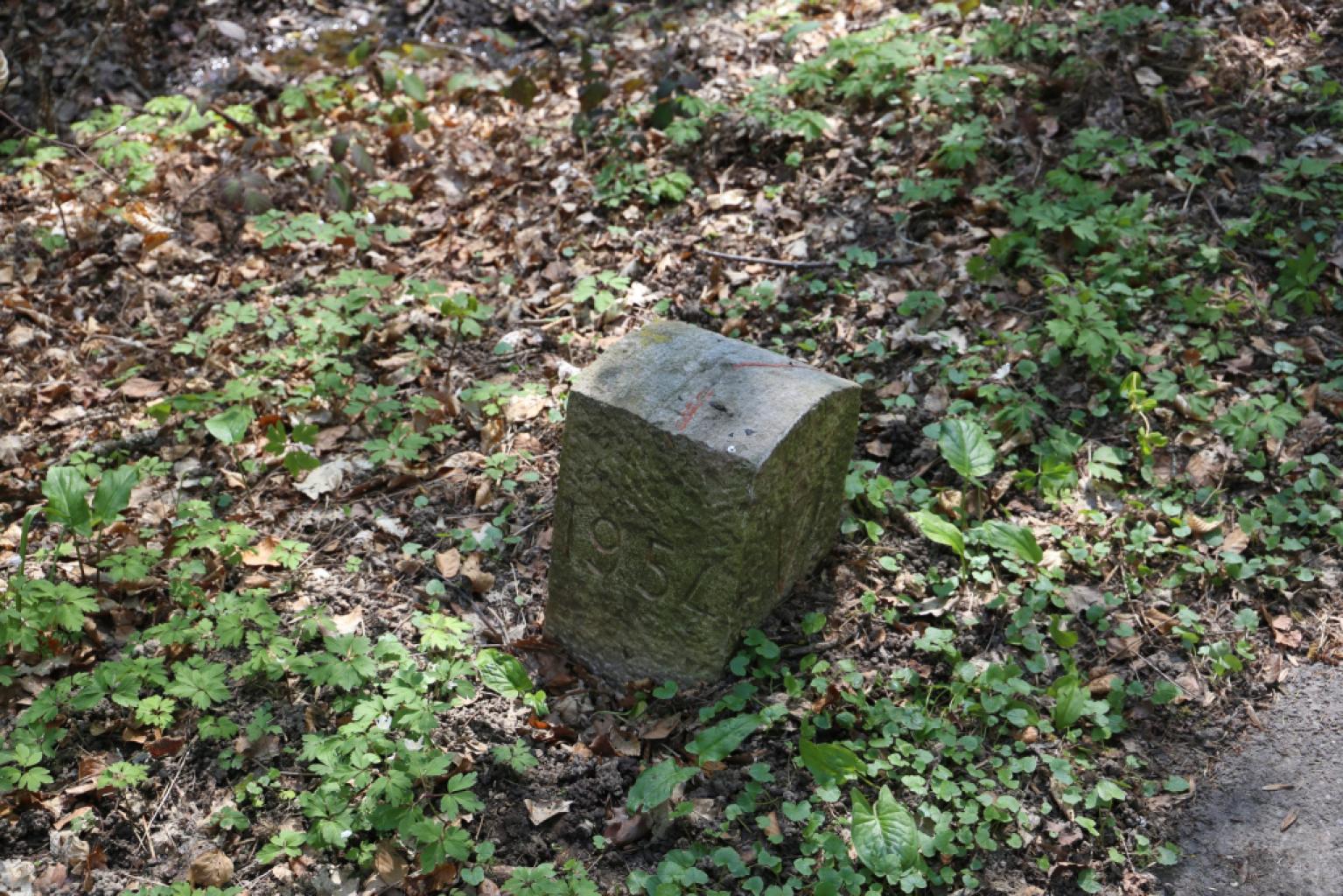 Domaine de la Petite Coudre