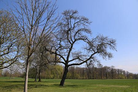 Domaine de la Grande Coudre