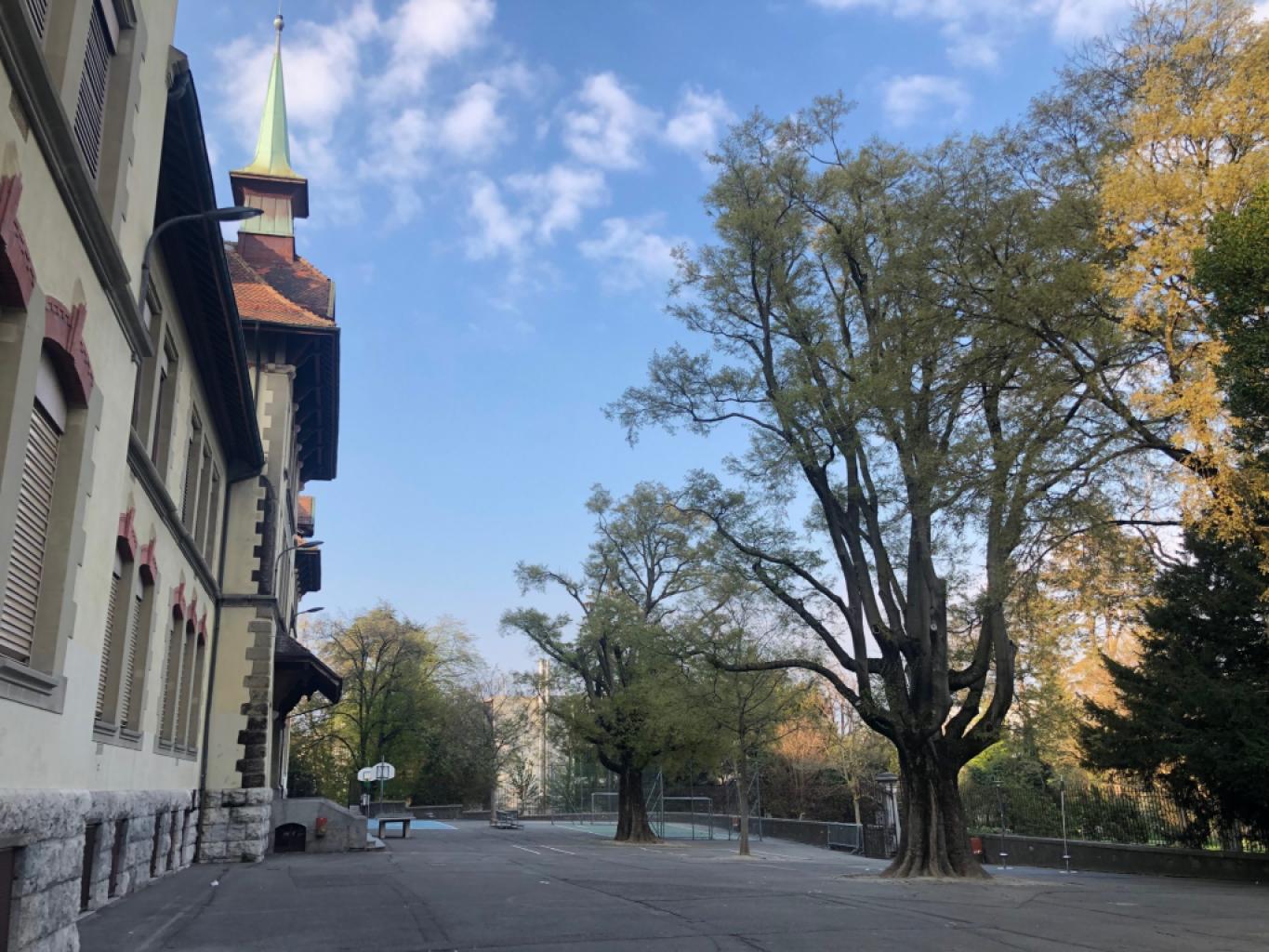 Ecole primaire de la Rue BAULACRE
