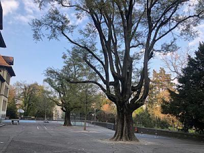 2019-04-13_18-44-42