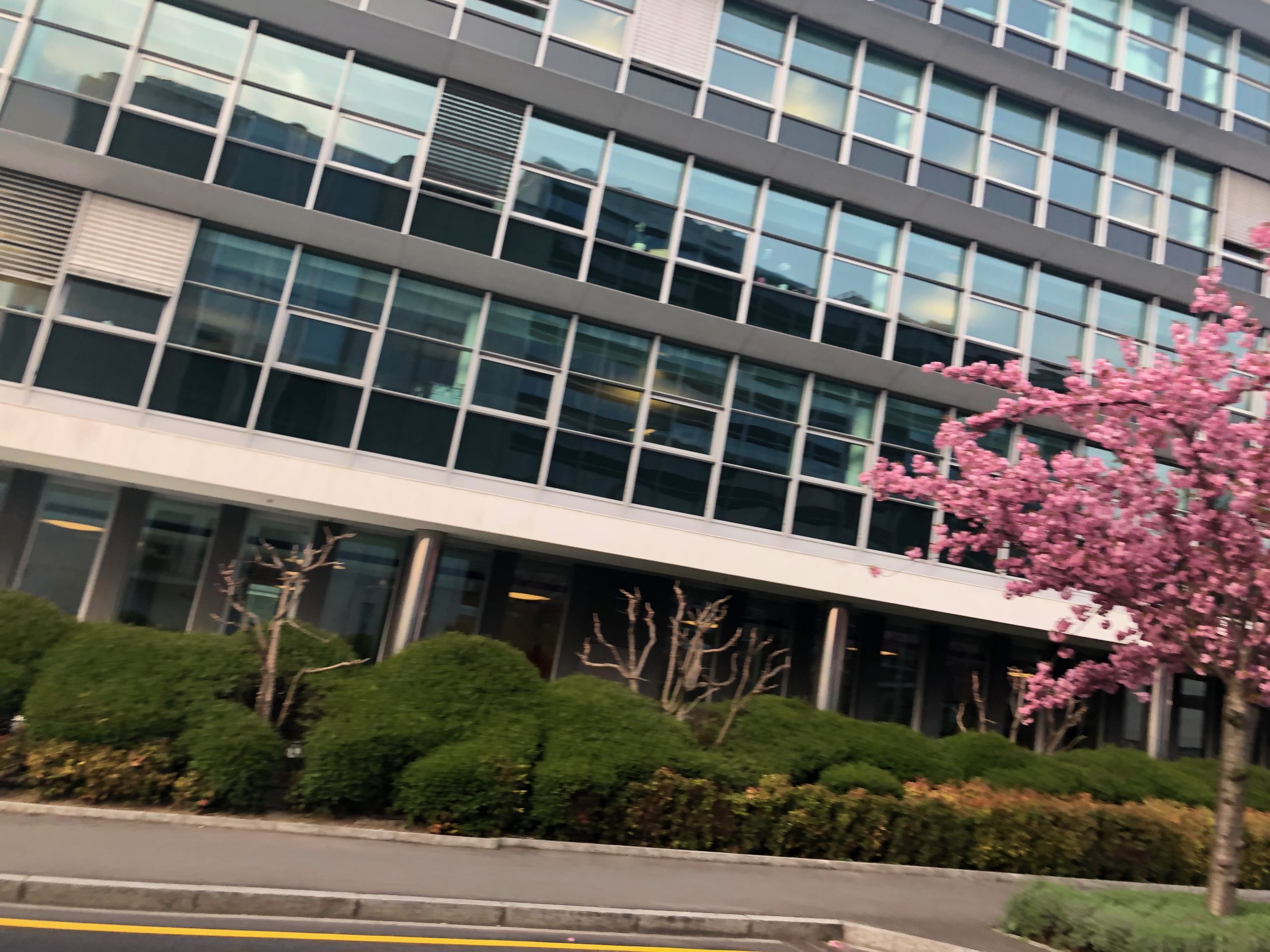 2019-04-12_18-31-46