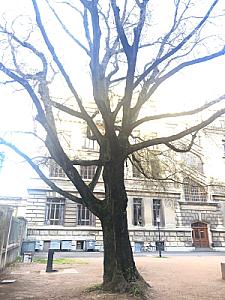 2019-04-05_18-48-36