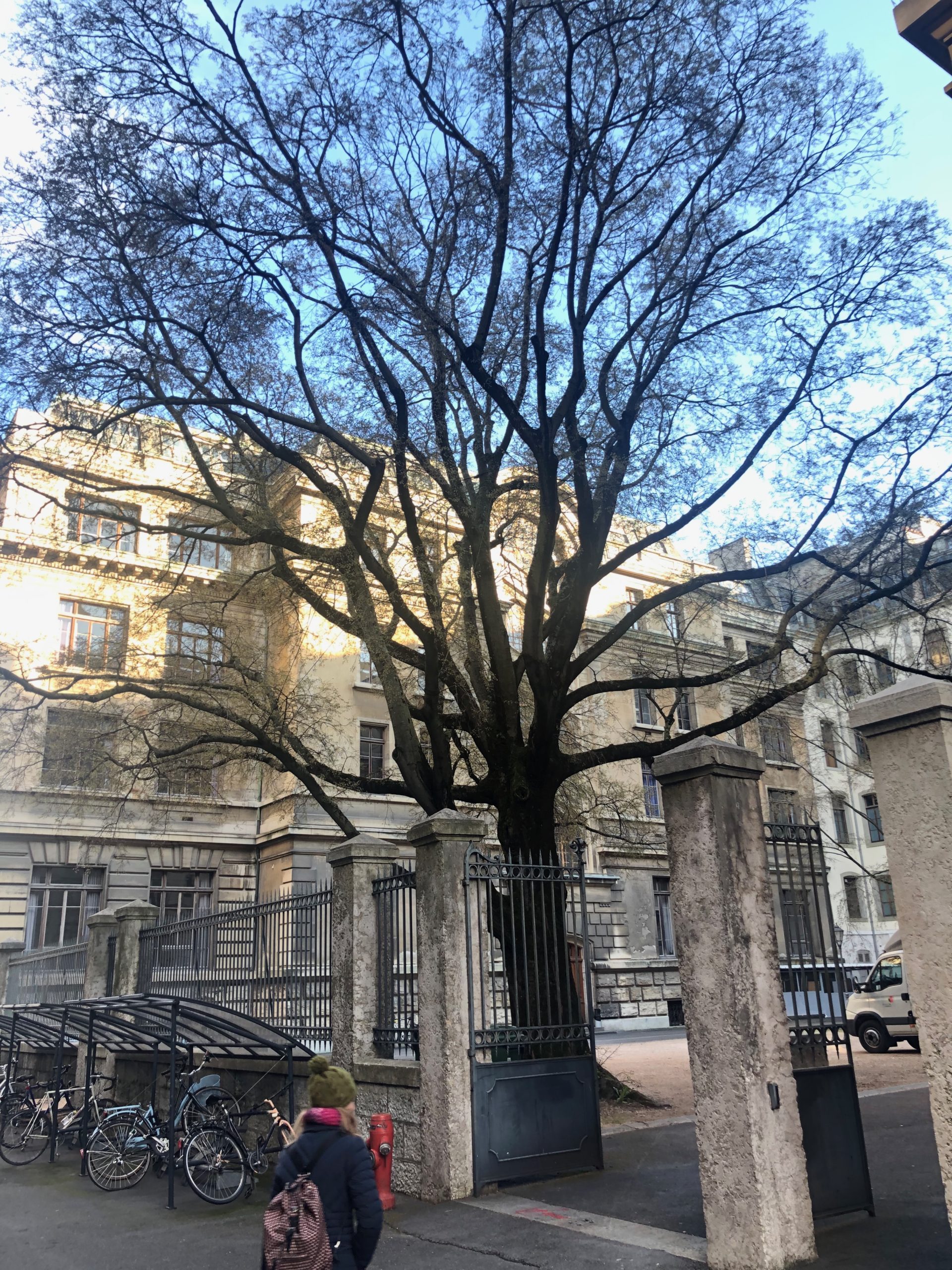 2019-04-05_18-48-18