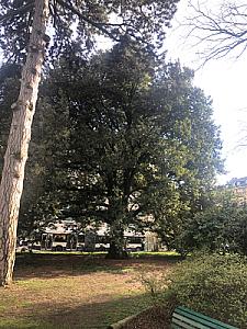 2019-04-05_17-36-35