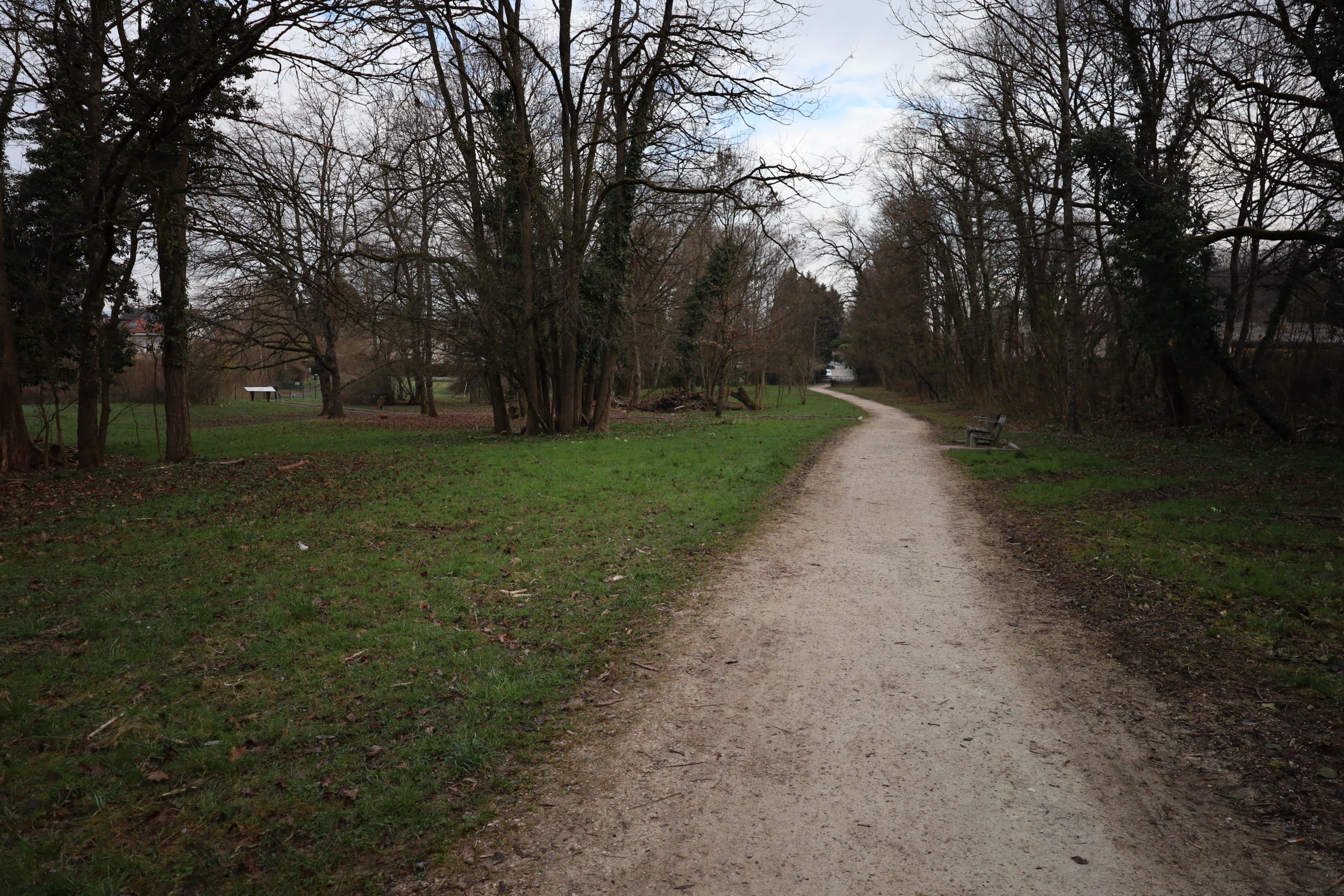 2025-03-08_08-21-12