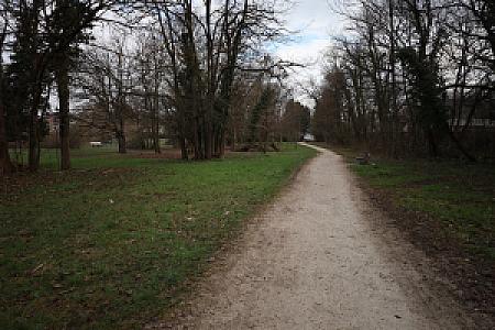 2025-03-08_08-21-12