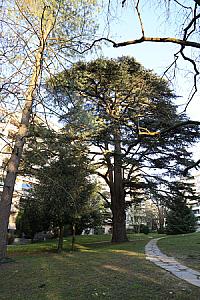 2019-03-24_17-54-39
